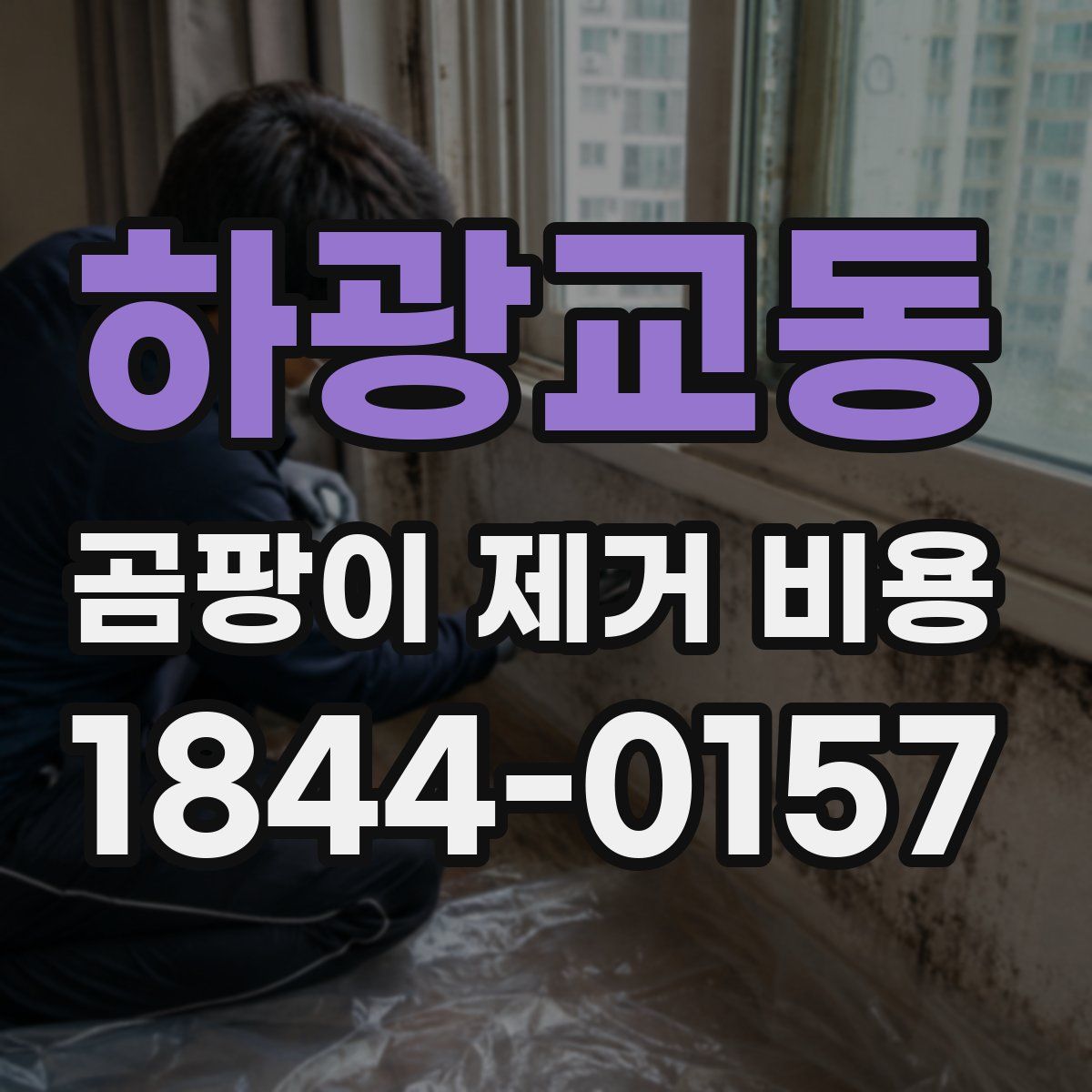 하광교동 곰팡이 제거 비용