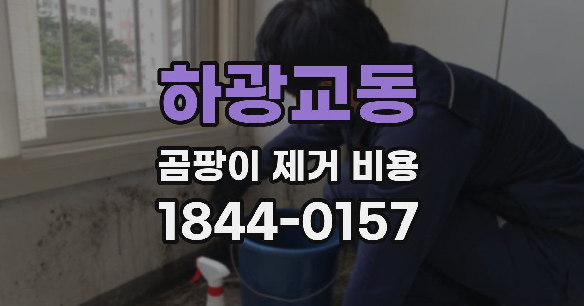 하광교동 곰팡이 제거 비용