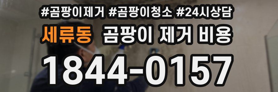 세류동 곰팡이 제거 비용