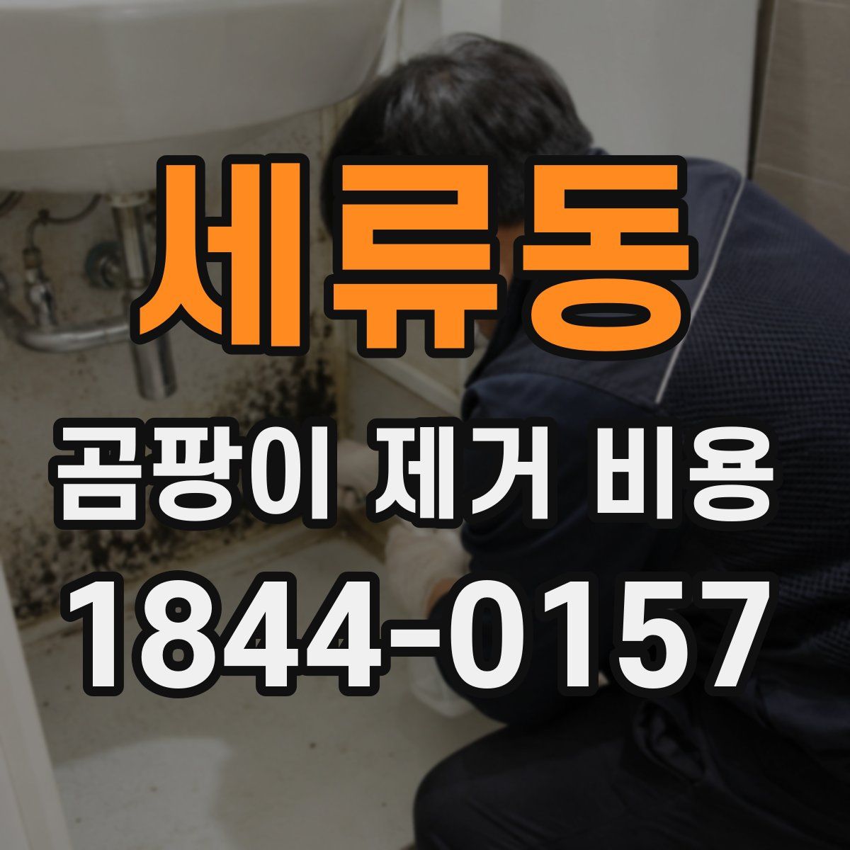 세류동 곰팡이 제거 비용