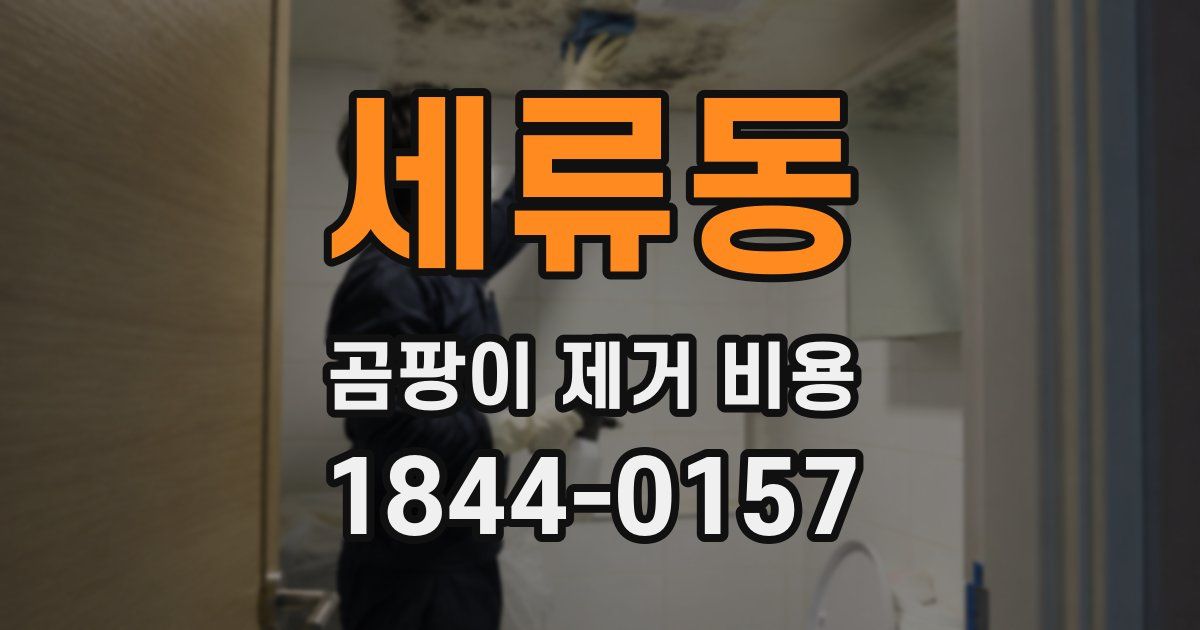 세류동 곰팡이 제거 비용