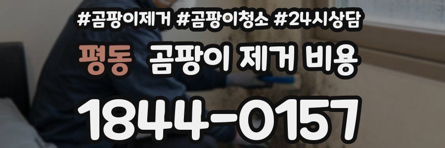 평동 곰팡이 제거 비용