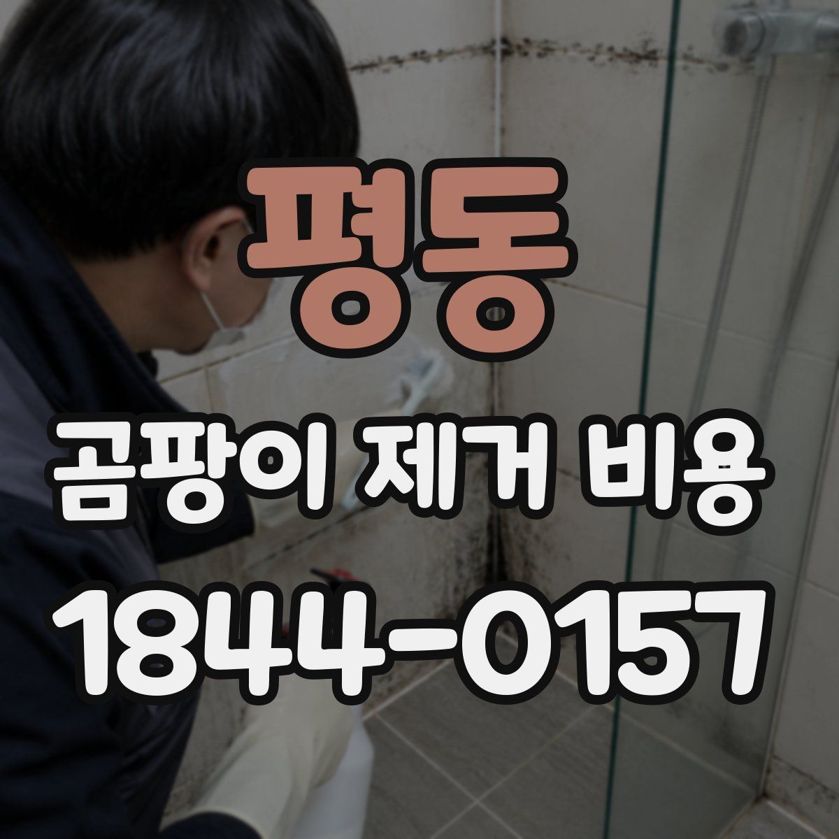 평동 곰팡이 제거 비용