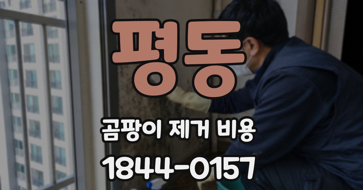 평동 곰팡이 제거 비용