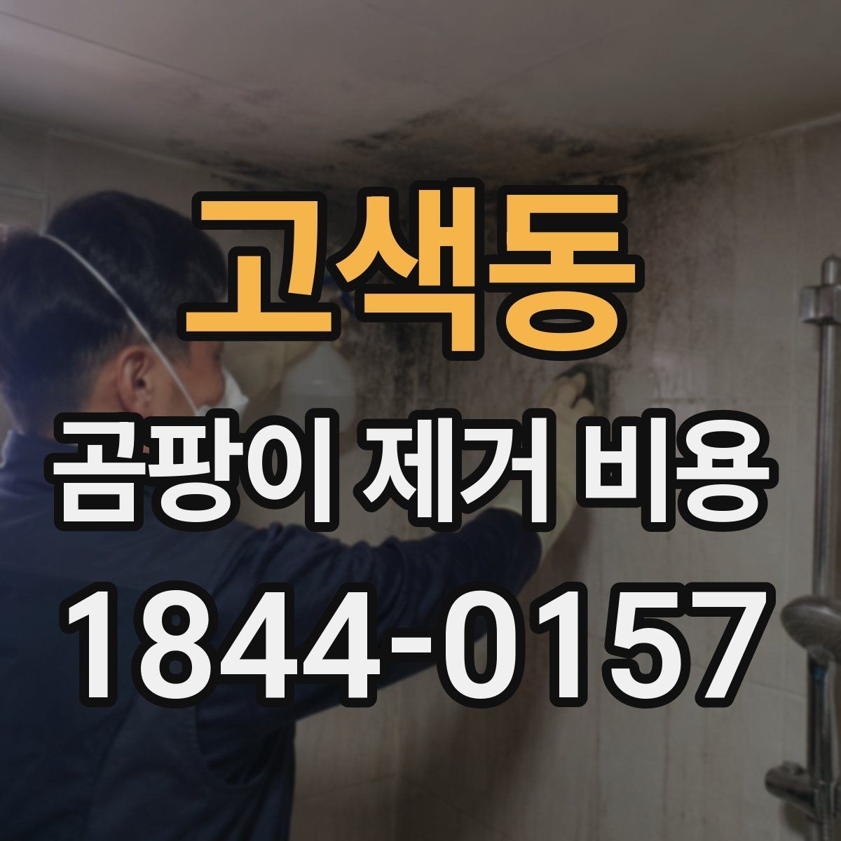 고색동 곰팡이 제거 비용 추가 약품 사용 기준은 어떻게 정해질까