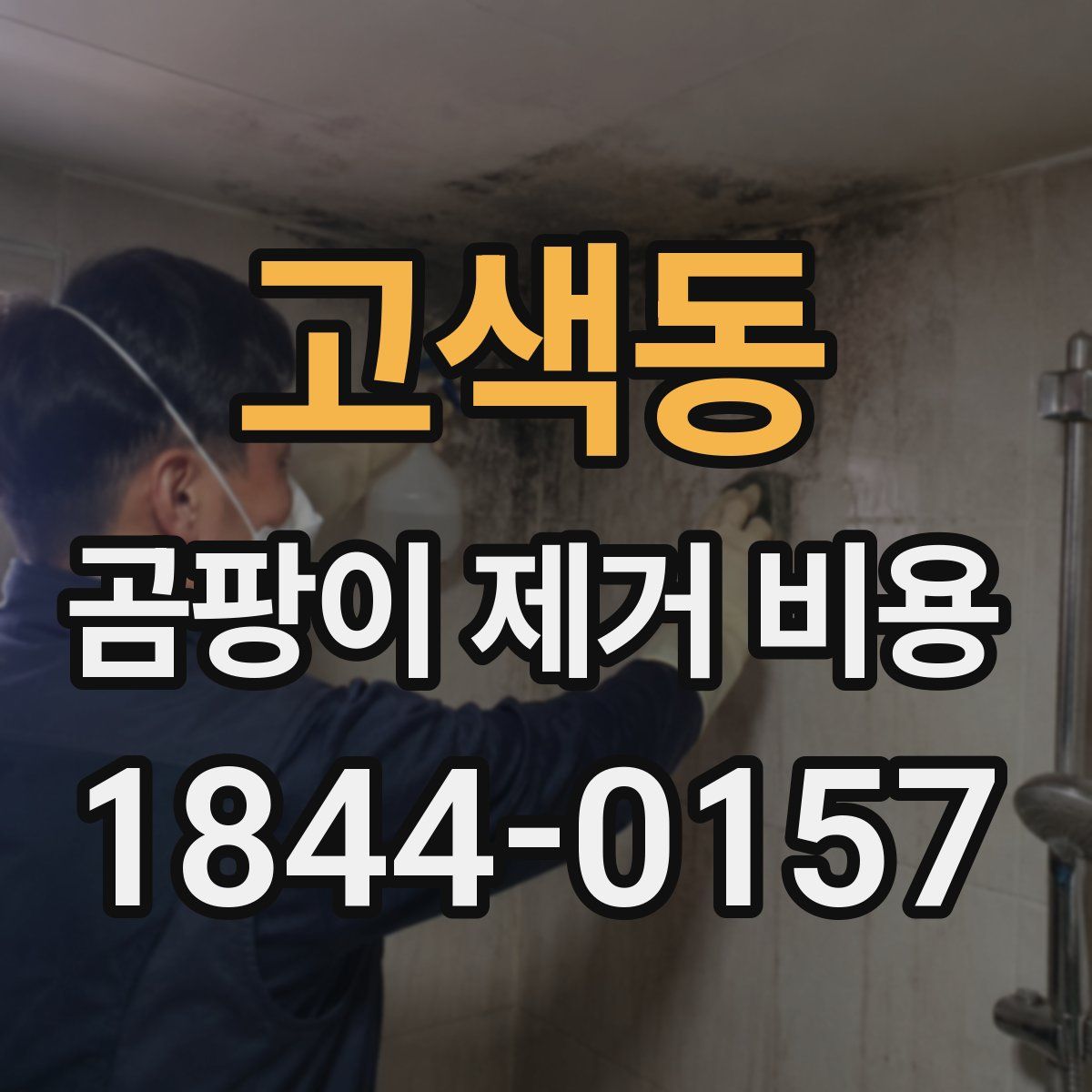 고색동 곰팡이 제거 비용