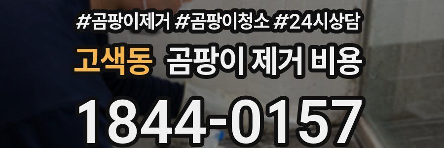 고색동 곰팡이 제거 비용