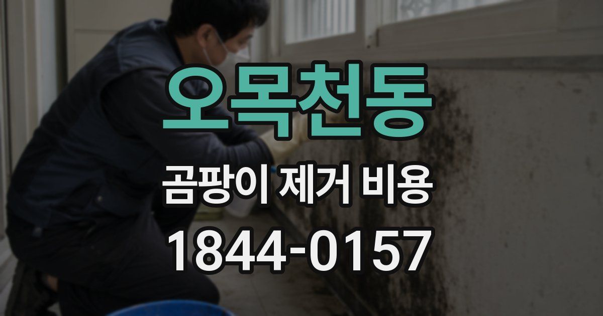 오목천동 곰팡이 제거 비용
