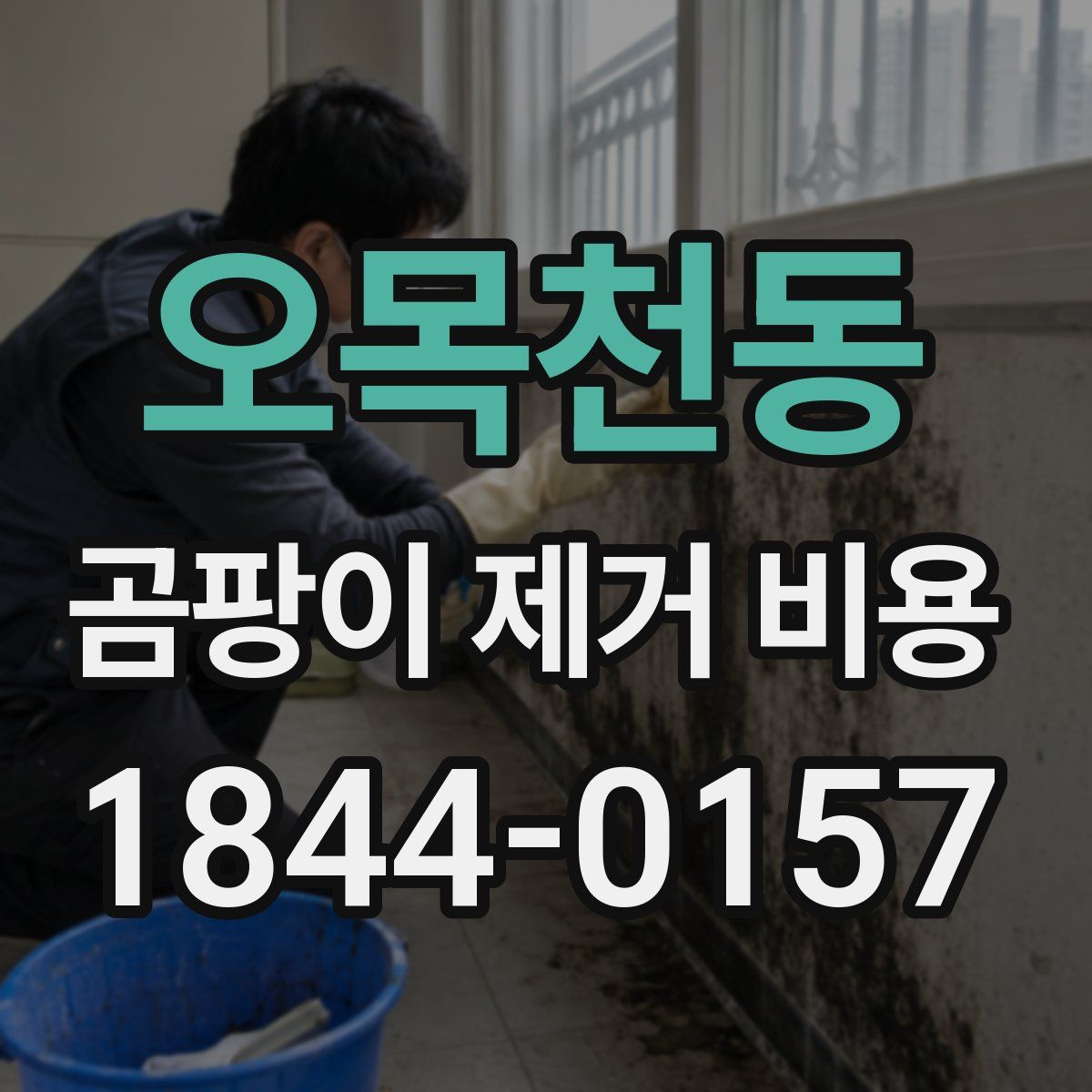 오목천동 곰팡이 제거 비용