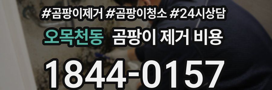 오목천동 곰팡이 제거 비용