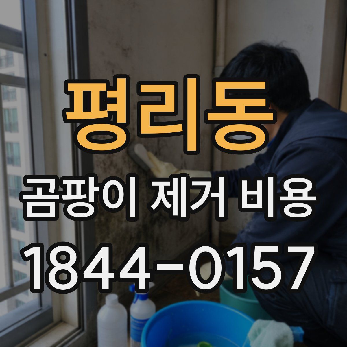 평리동 곰팡이 제거 비용
