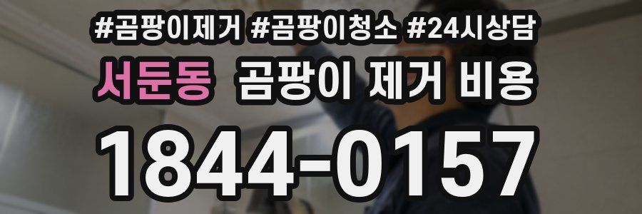 서둔동 곰팡이 제거 비용