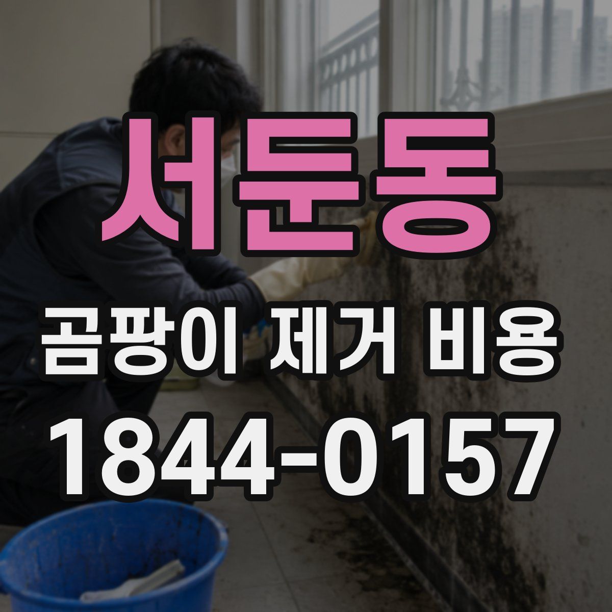 서둔동 곰팡이 제거 비용