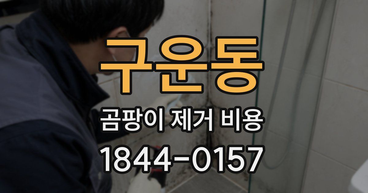 구운동 곰팡이 제거 비용