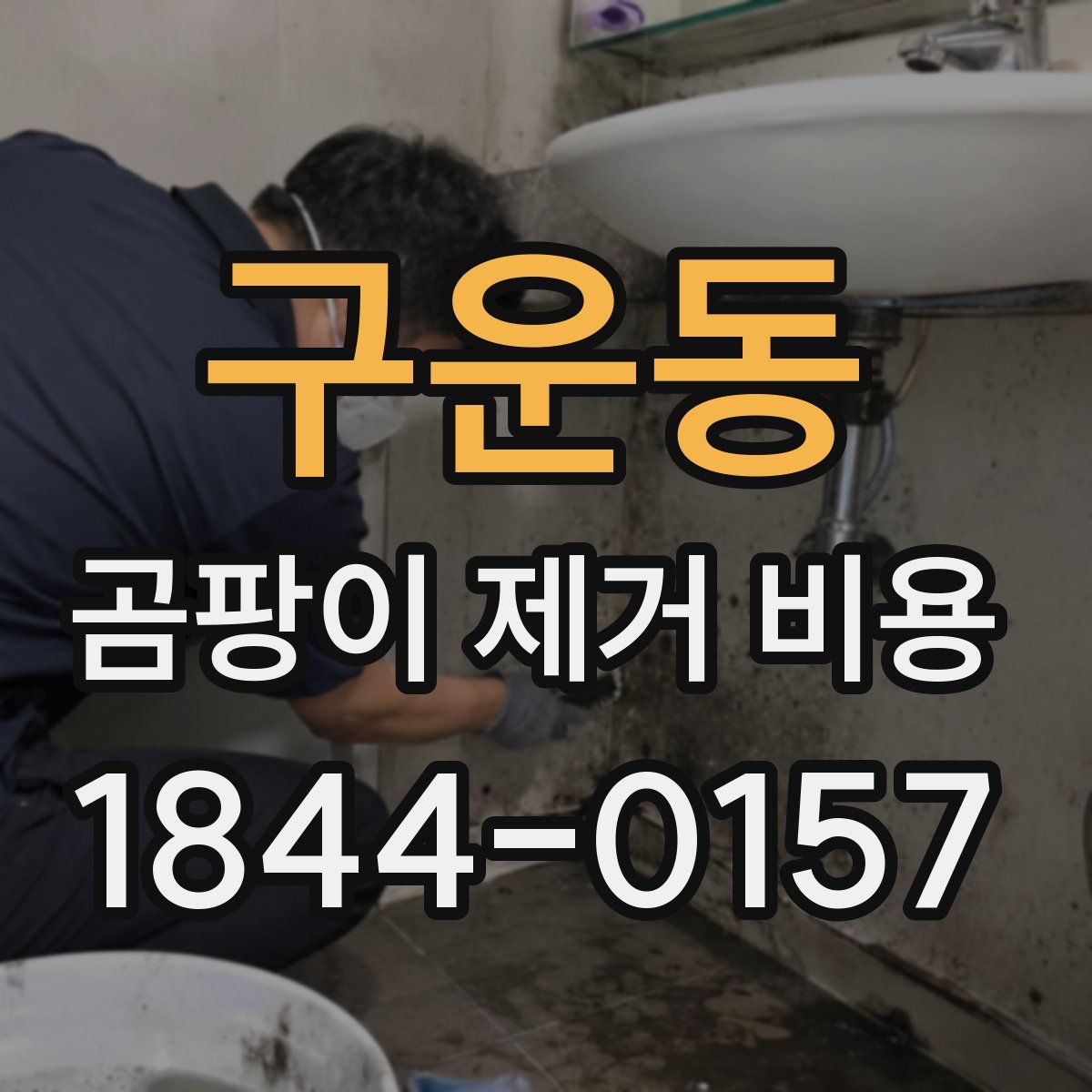구운동 곰팡이 제거 비용