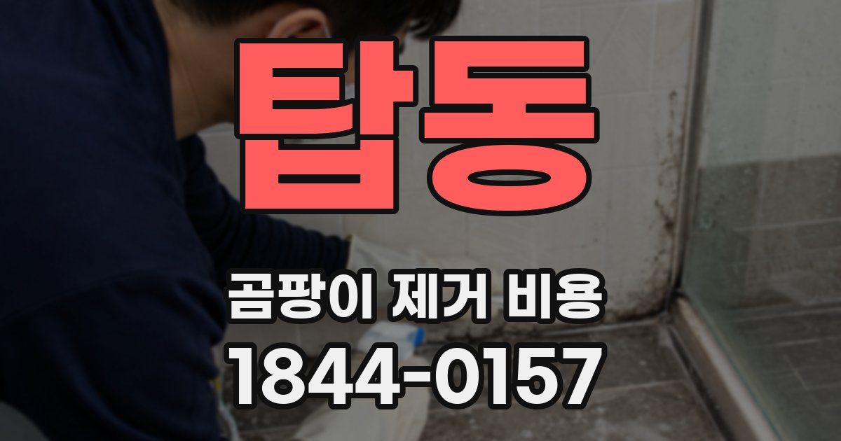 탑동 곰팡이 제거 비용