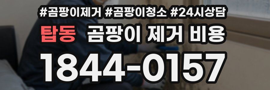 탑동 곰팡이 제거 비용