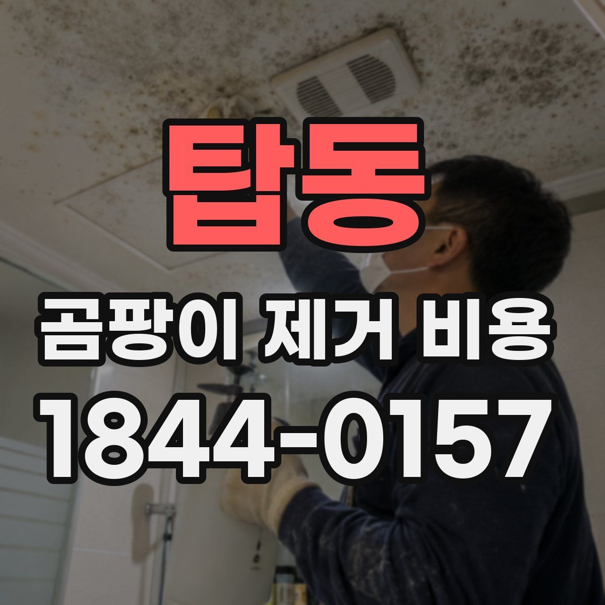 탑동 곰팡이 제거 비용