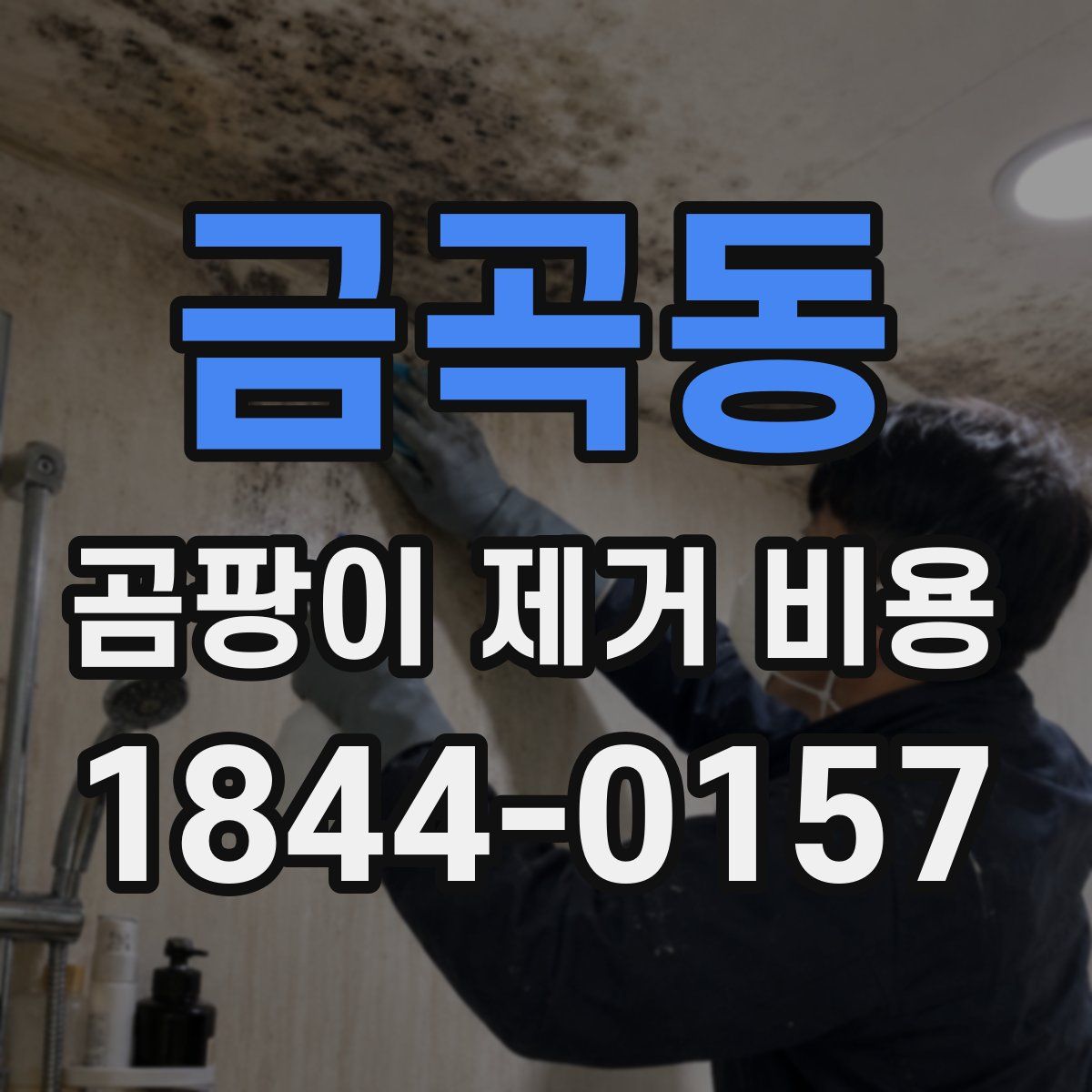 금곡동 곰팡이 제거 비용