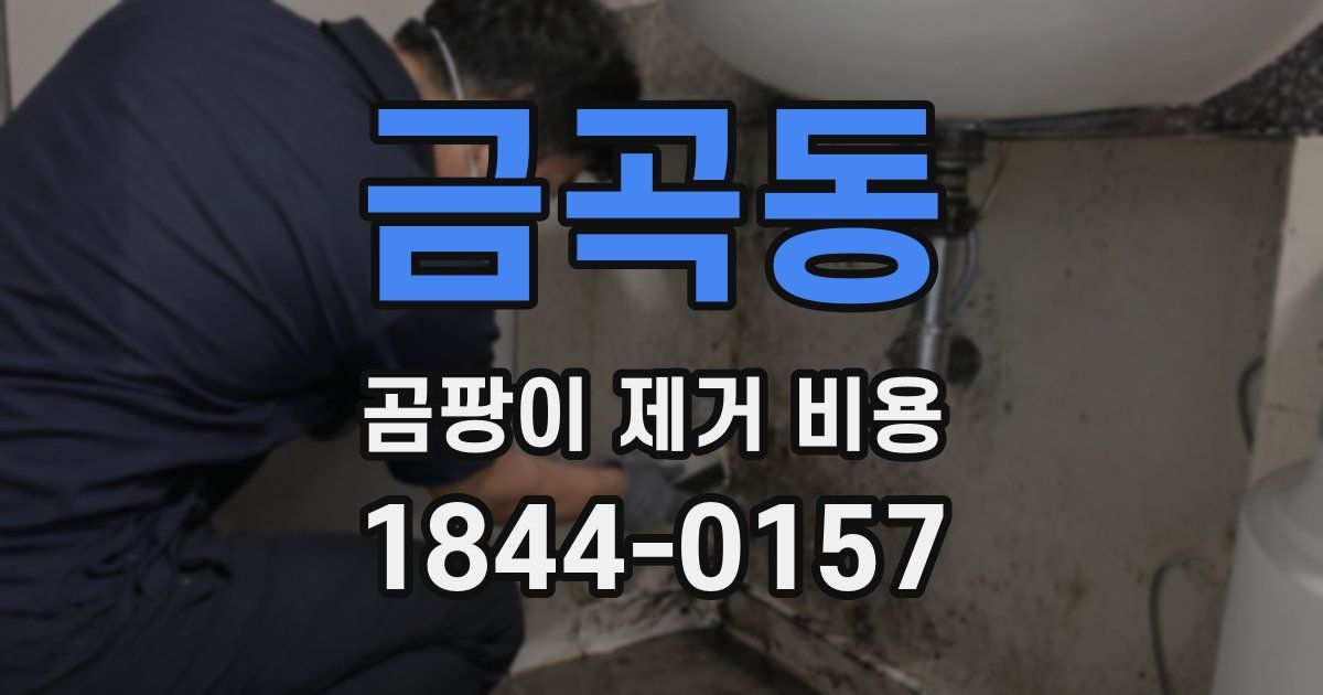 금곡동 곰팡이 제거 비용