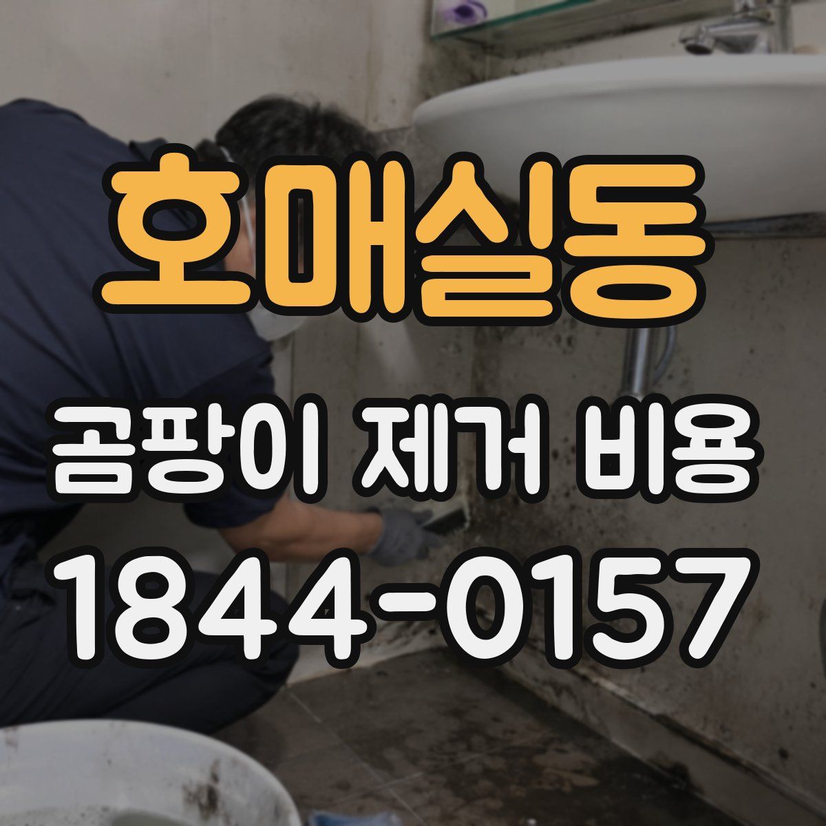 호매실동 곰팡이 제거 비용