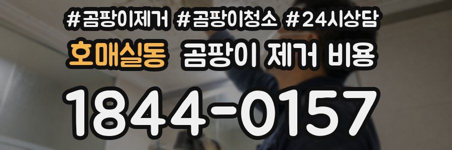 호매실동 곰팡이 제거 비용