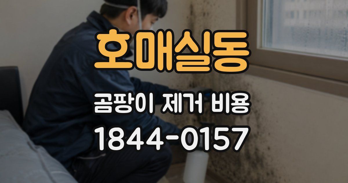호매실동 곰팡이 제거 비용