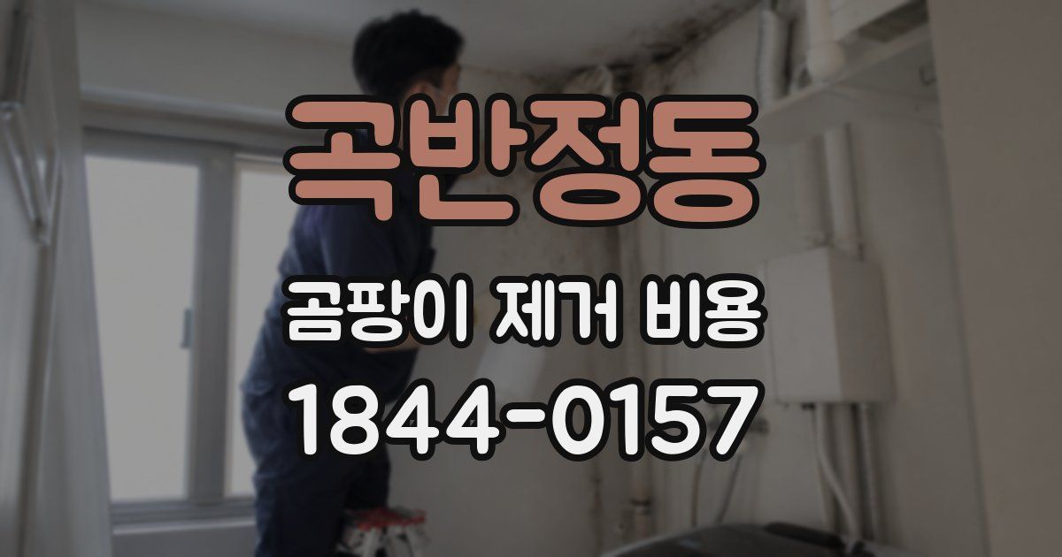 곡반정동 곰팡이 제거 비용