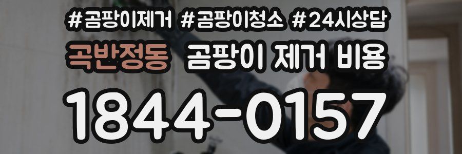 곡반정동 곰팡이 제거 비용