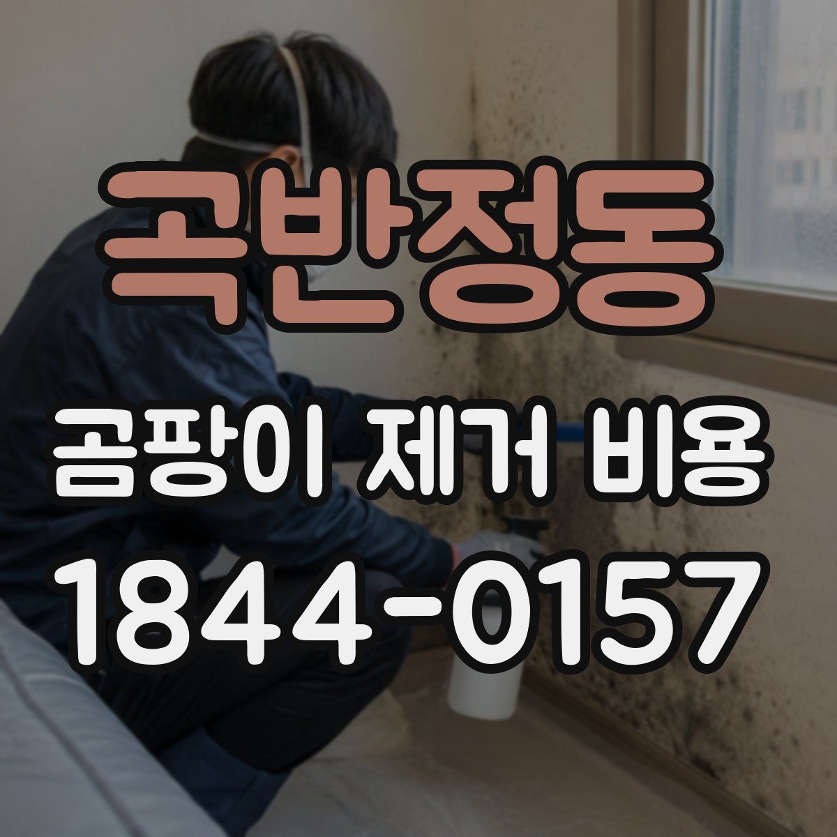 곡반정동 곰팡이 제거 비용