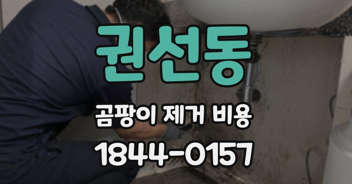 권선동 곰팡이 제거 비용