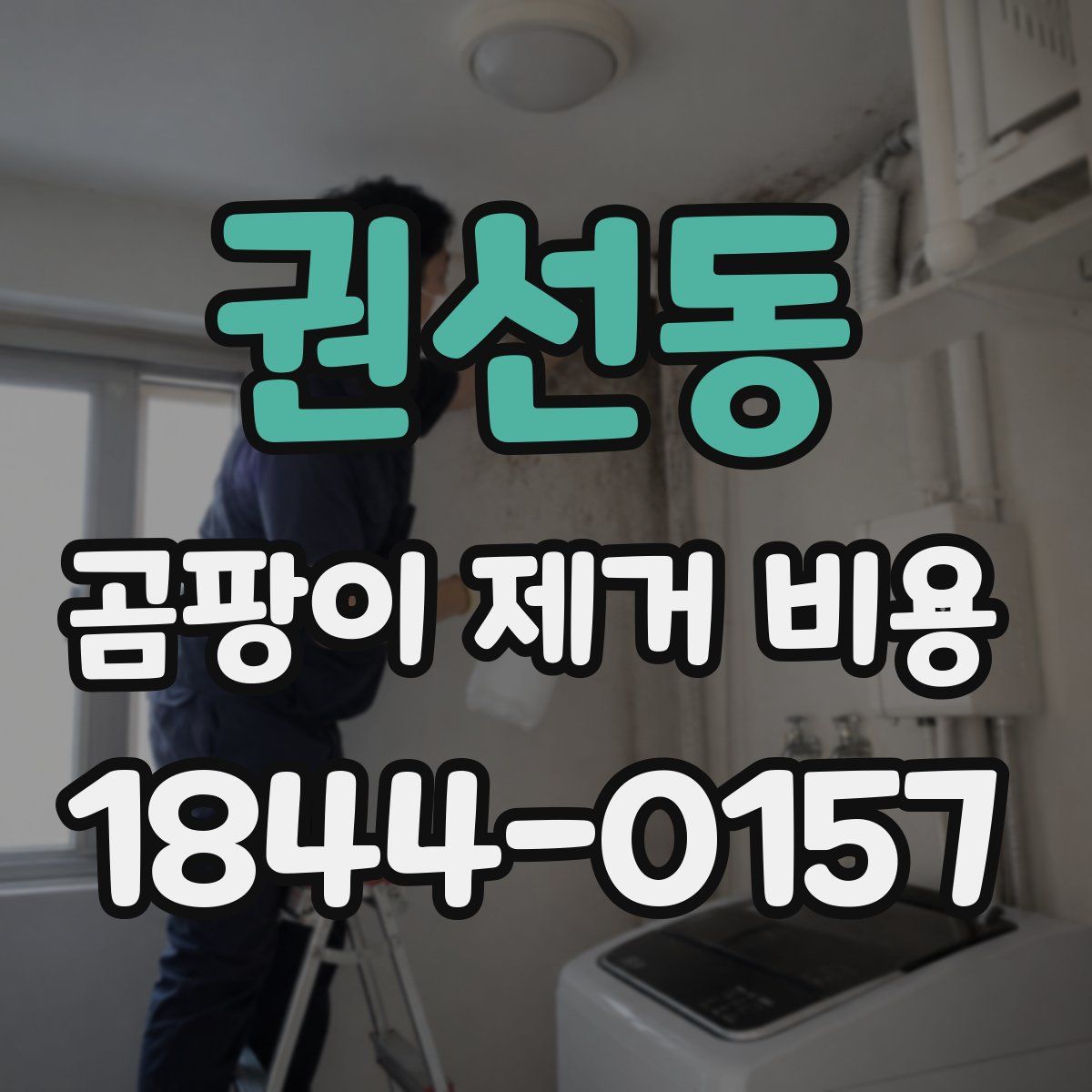 권선동 곰팡이 제거 비용