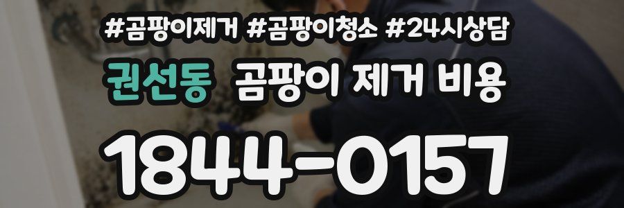 권선동 곰팡이 제거 비용