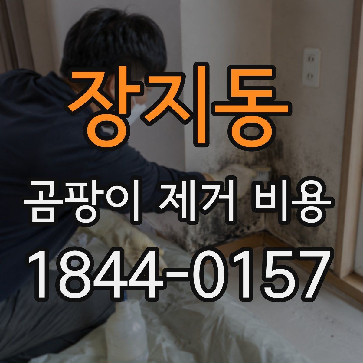 장지동 곰팡이 제거 비용 시공 후 보증과 A/S 조건을 보는 이유