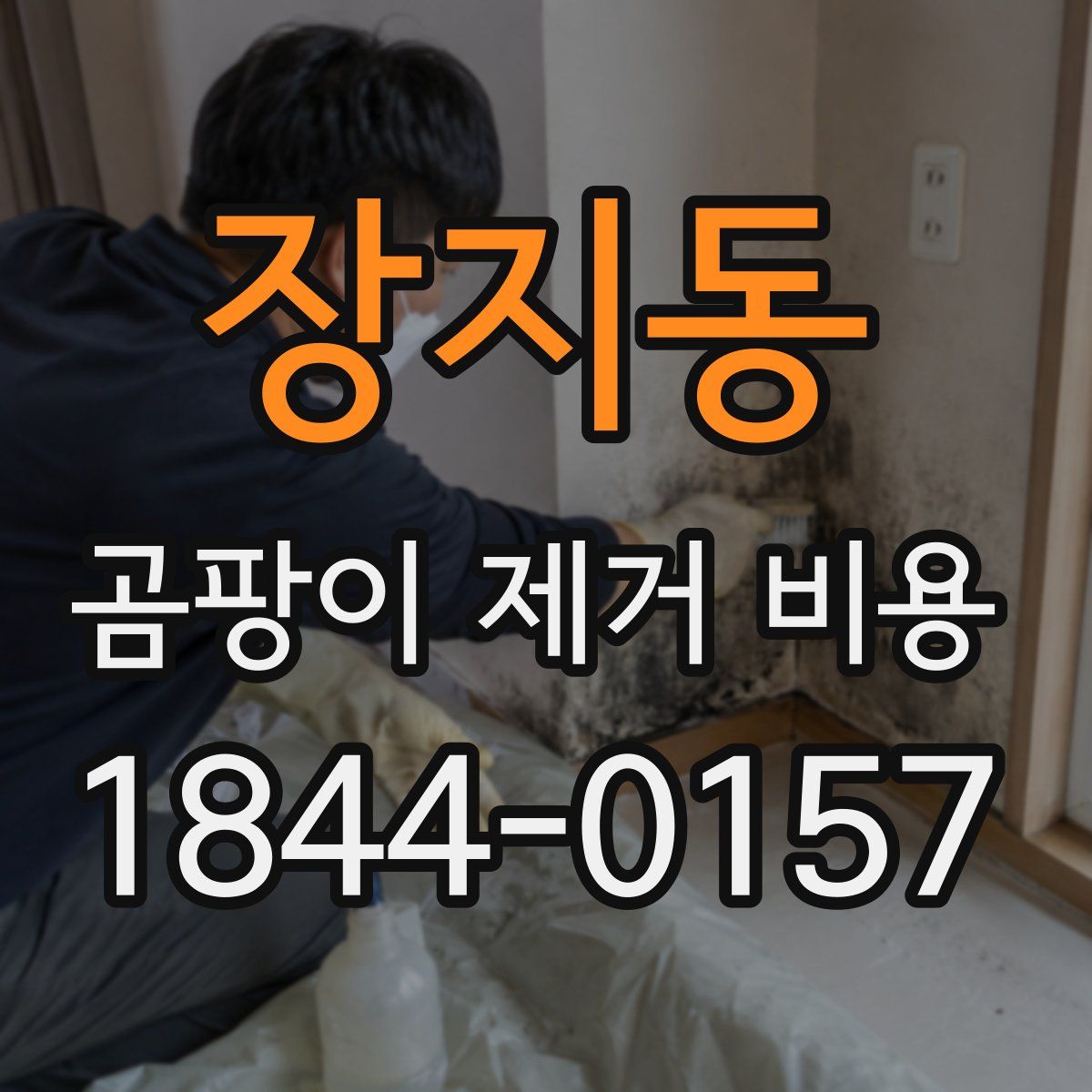 장지동 곰팡이 제거 비용