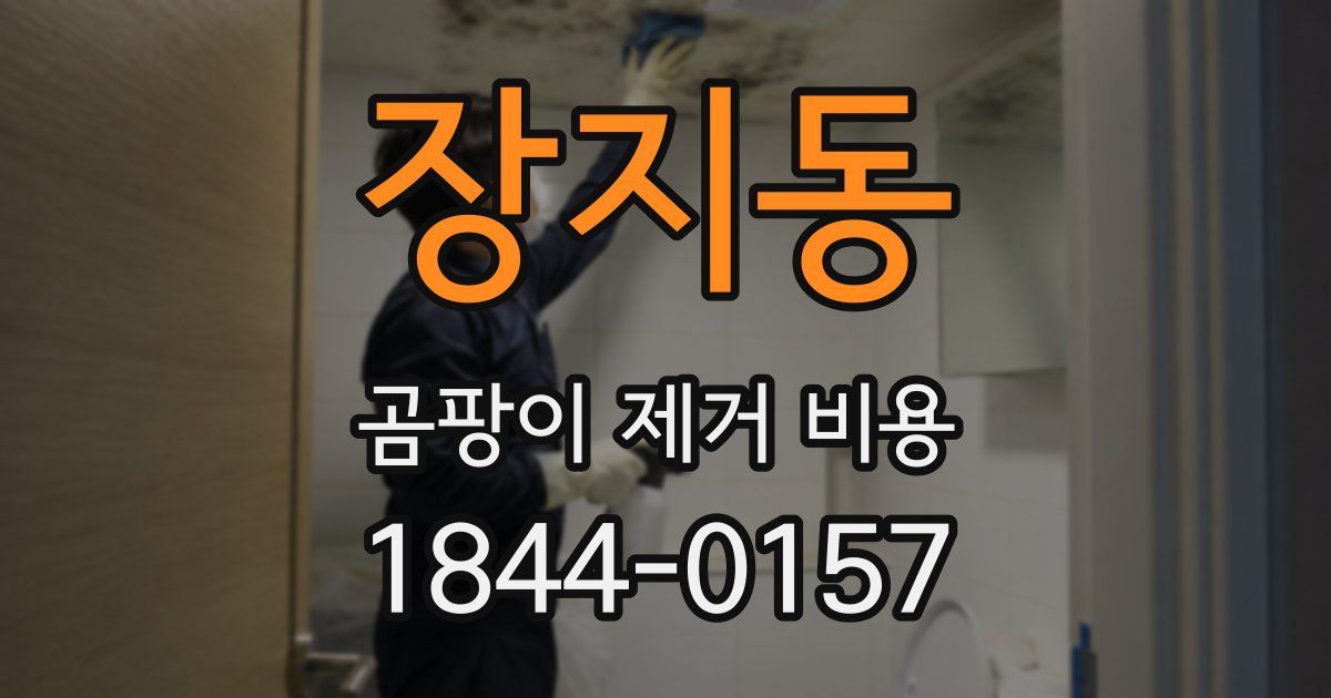 장지동 곰팡이 제거 비용