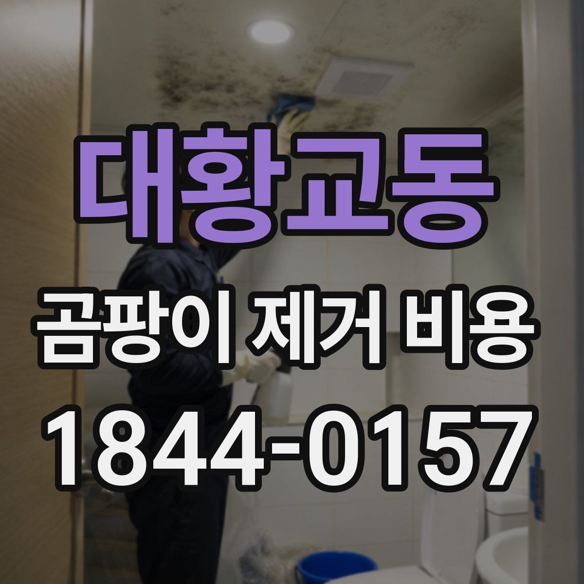 대황교동 곰팡이 제거 비용 부분 보수와 전체 시공을 구분하는 방법