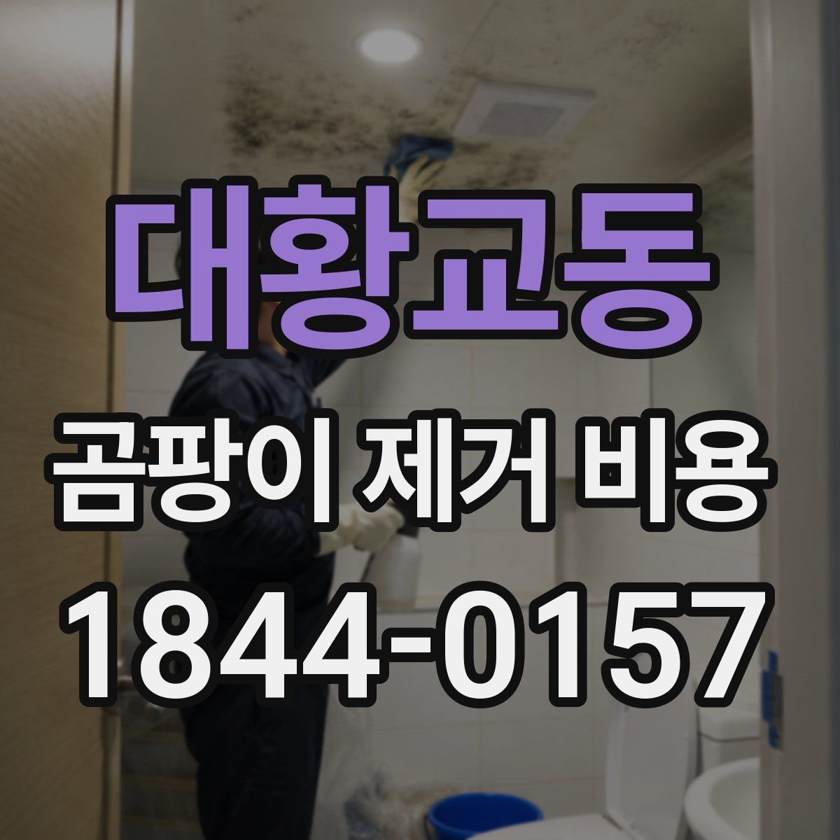 대황교동 곰팡이 제거 비용