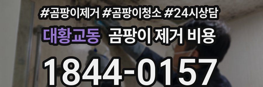 대황교동 곰팡이 제거 비용