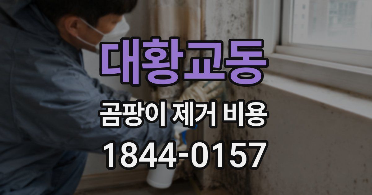대황교동 곰팡이 제거 비용
