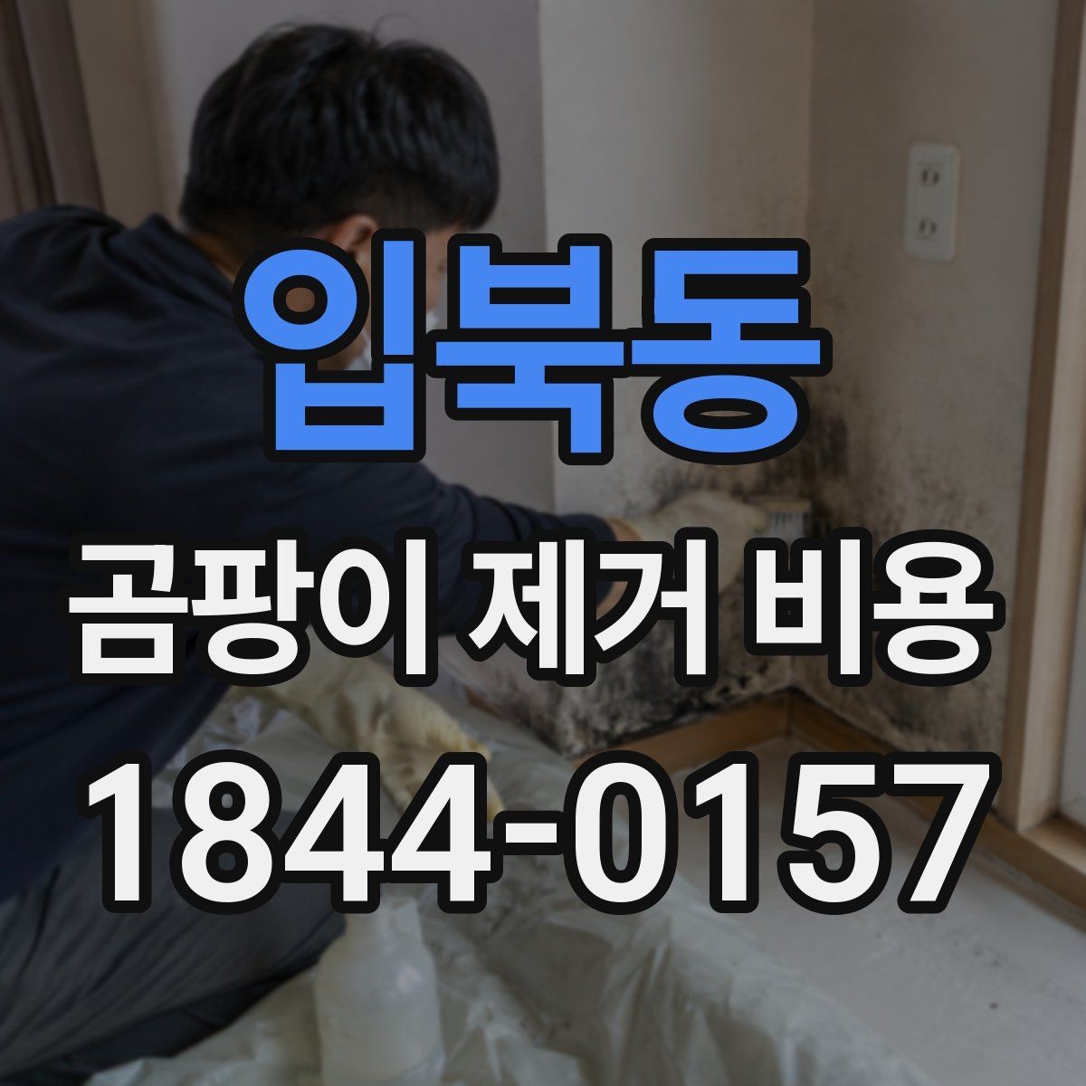 입북동 곰팡이 제거 비용 배관 주변 곰팡이 처리에서 확인할 점