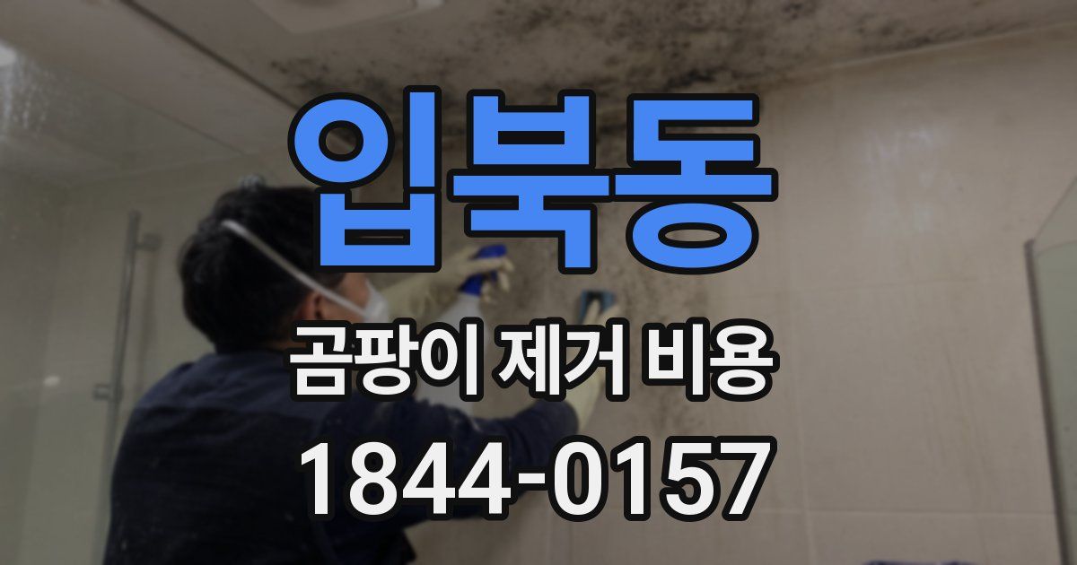 입북동 곰팡이 제거 비용