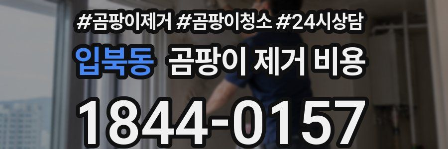 입북동 곰팡이 제거 비용