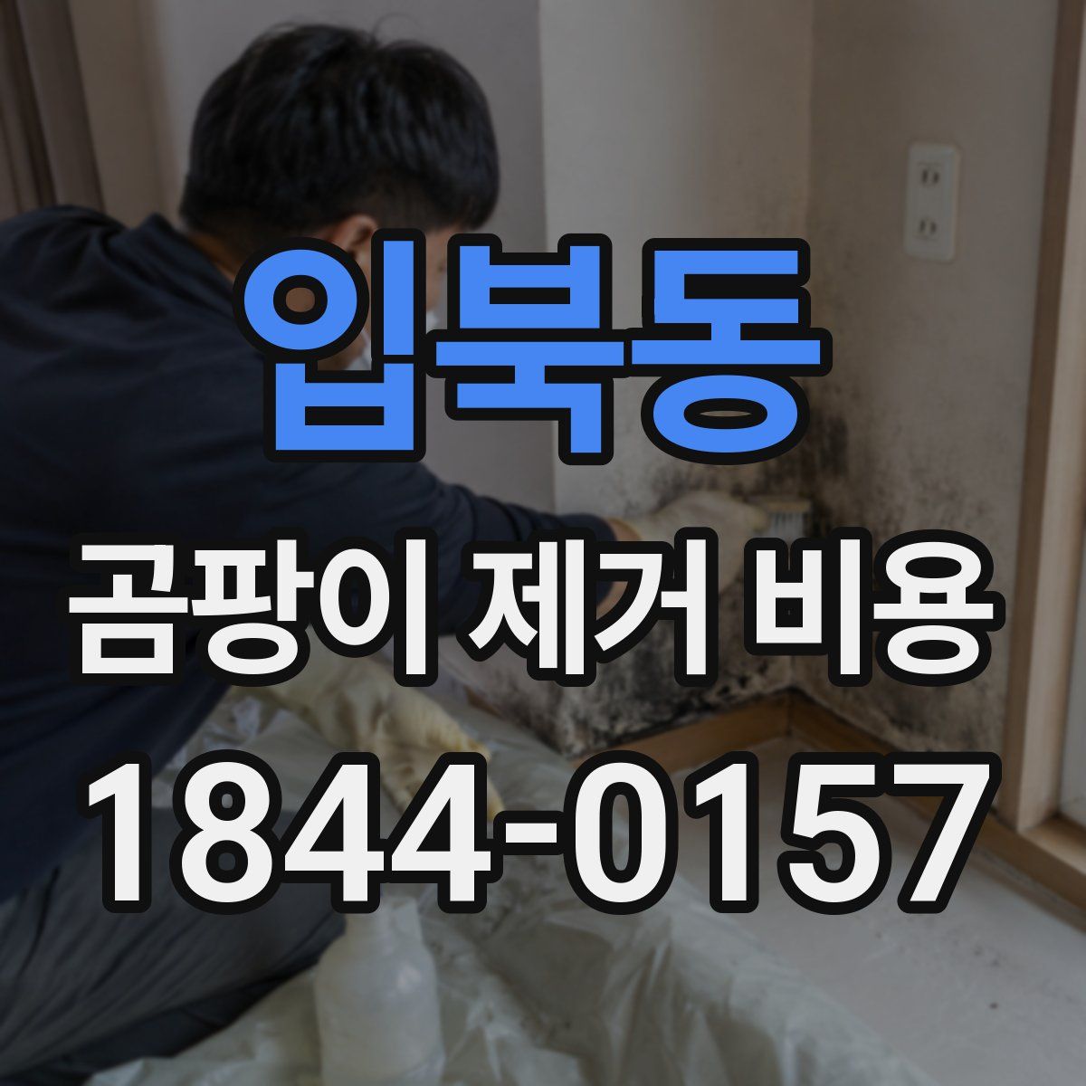 입북동 곰팡이 제거 비용