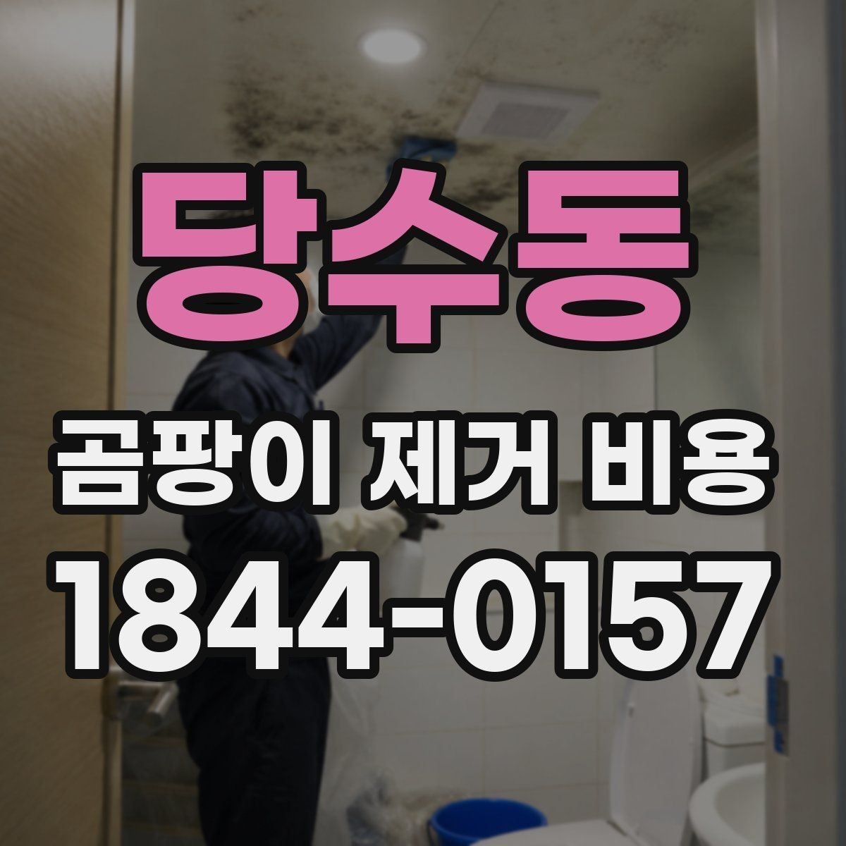 당수동 곰팡이 제거 비용 재발 방지 포함 견적은 무엇을 보나
