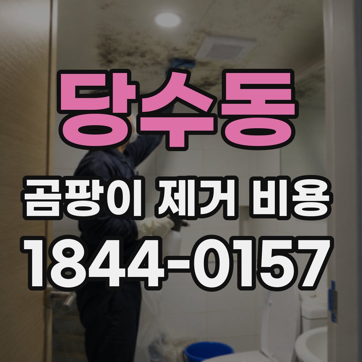 당수동 곰팡이 제거 비용