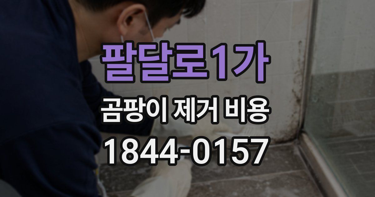 팔달로1가 곰팡이 제거 비용