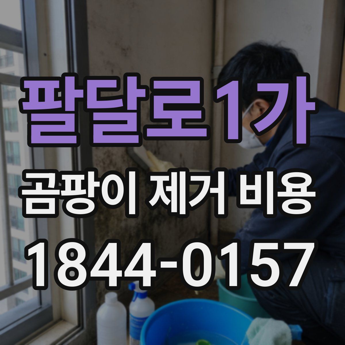 팔달로1가 곰팡이 제거 비용