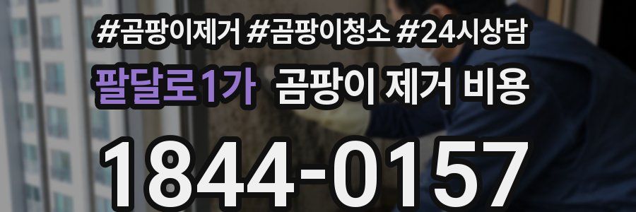 팔달로1가 곰팡이 제거 비용