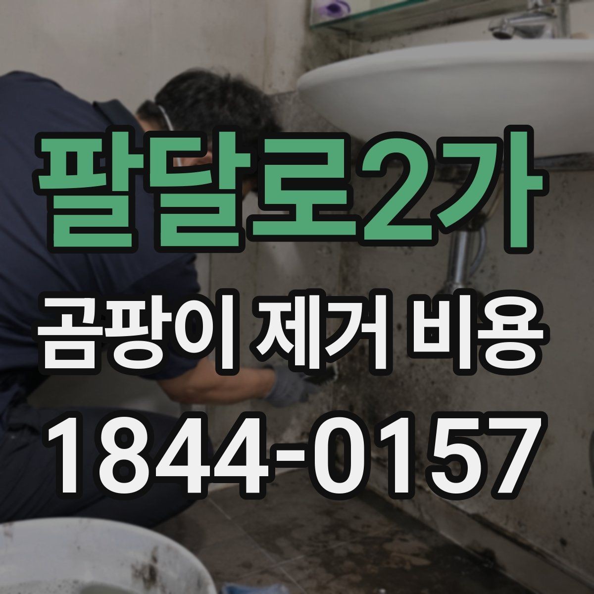 팔달로2가 곰팡이 제거 비용 현장 조사에서 빠지지 말아야 할 항목